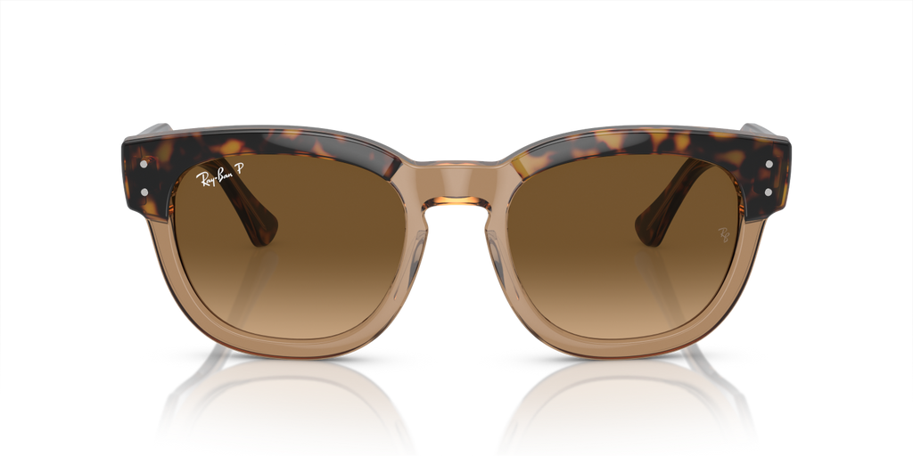 Ray-Ban MEGA HAWKEYE RB0298S - Havana On Transparent Brown / Gold