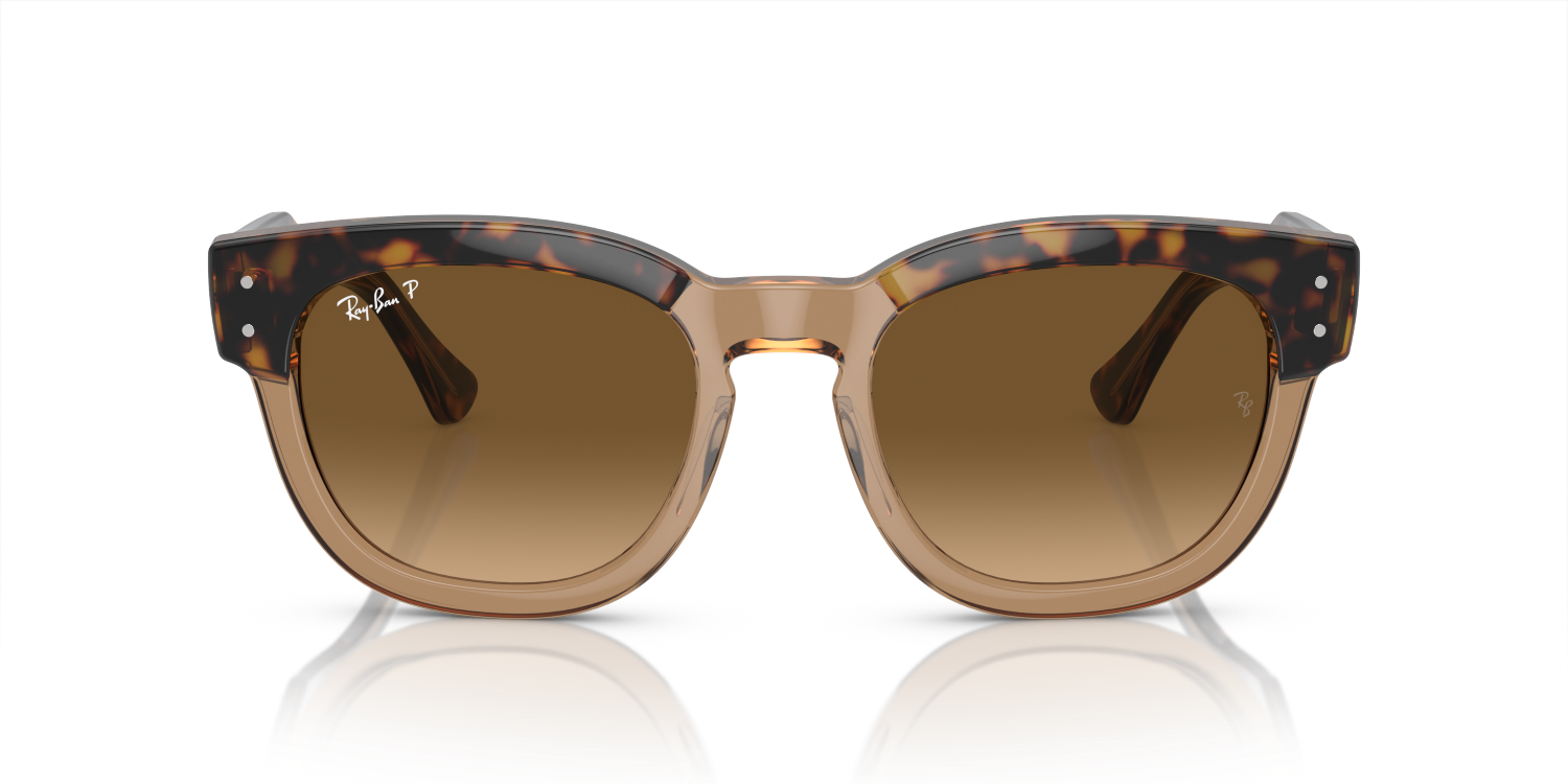 Ray-Ban MEGA HAWKEYE RB0298S - Havana On Transparent Brown / Gold
