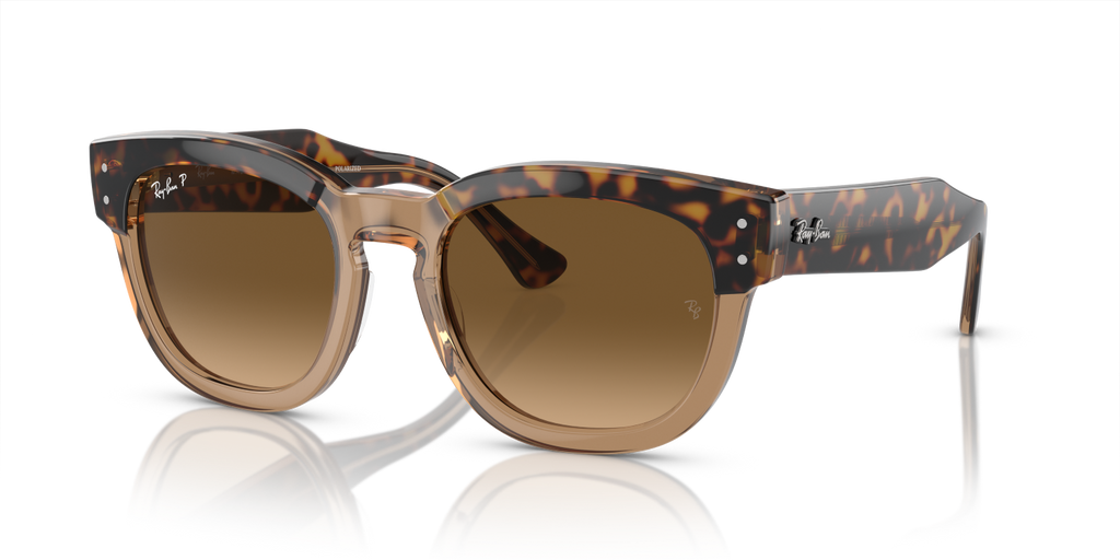 Ray-Ban MEGA HAWKEYE RB0298S - Havana On Transparent Brown / Gold