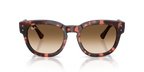 Ray-Ban MEGA HAWKEYE RB0298S - Pink Havana / Tortoise