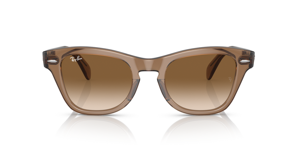 Ray-Ban RB0707S - Transparent Light Brown / Brown