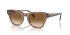Ray-Ban RB0707S - Transparent Light Brown / Brown