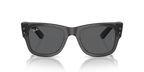 Ray-Ban MEGA WAYFARER RB0840S - Transparent Black / Black