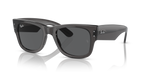 Ray-Ban MEGA WAYFARER RB0840S - Transparent Black / Black
