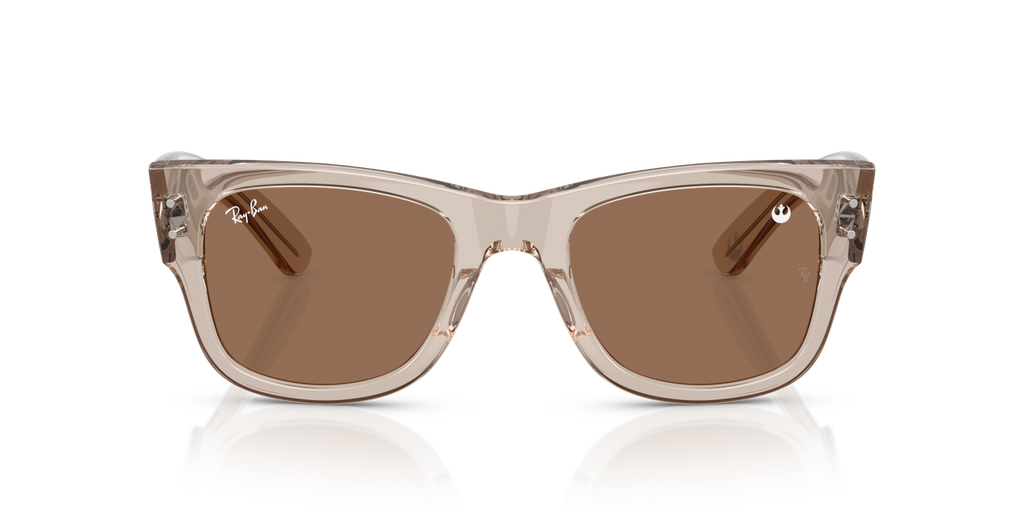 Ray-Ban MEGA WAYFARER RB0840S - Transparent Light Brown / Brown