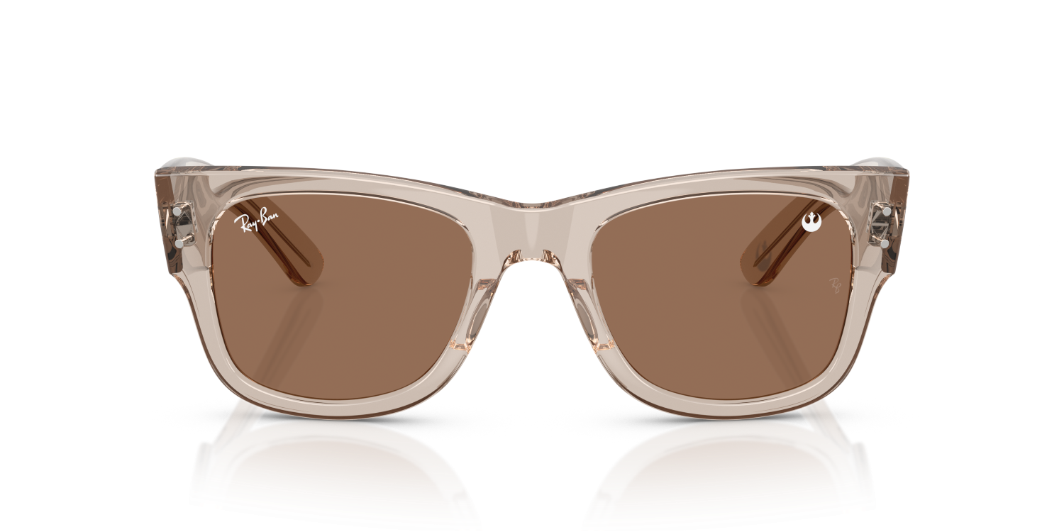 Ray-Ban MEGA WAYFARER RB0840S - Transparent Light Brown / Brown