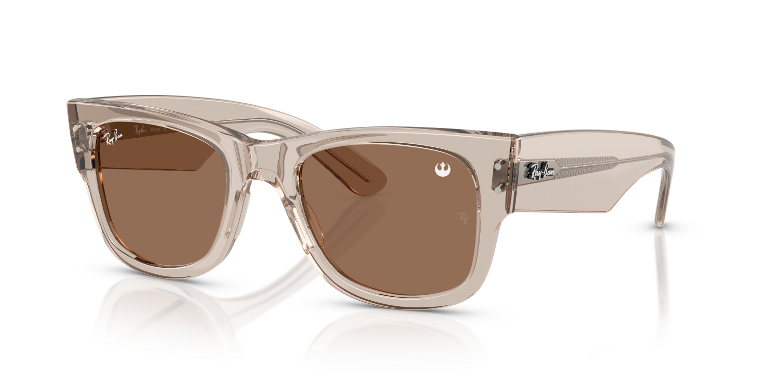 Ray-Ban MEGA WAYFARER RB0840S - Transparent Light Brown / Brown
