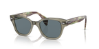 Ray-Ban RB0880S - Transparent Green / Green