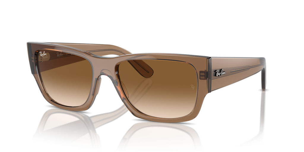Ray-Ban CARLOS RB0947S - Transparent Light Brown / Brown