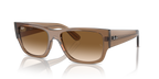 Ray-Ban CARLOS RB0947S - Transparent Light Brown / Brown