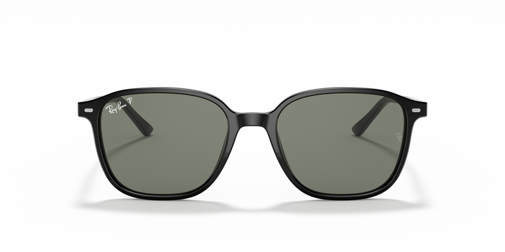 Ray-Ban LEONARD RB2193 - Black / Black