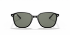 Ray-Ban LEONARD RB2193 - Black / Black
