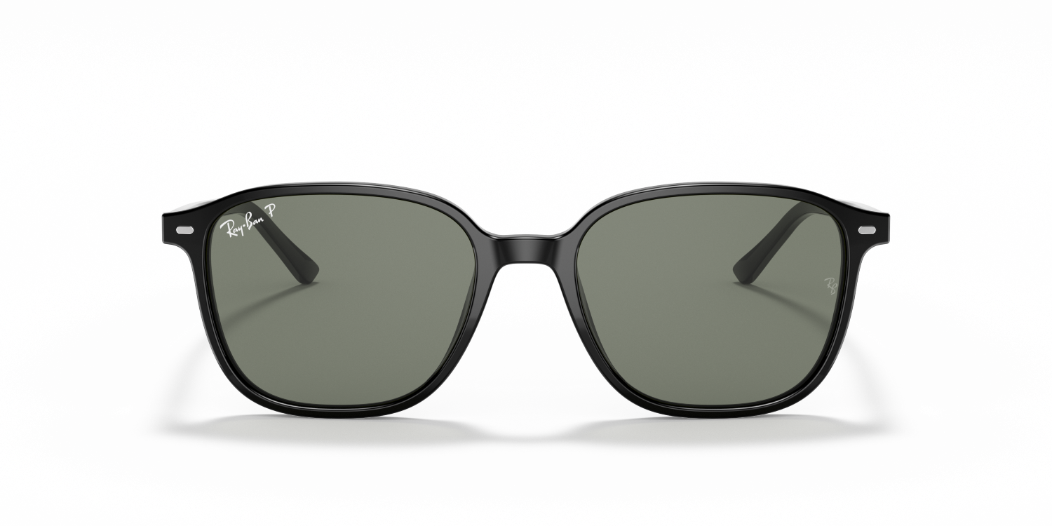 Ray-Ban LEONARD RB2193 - Black / Black