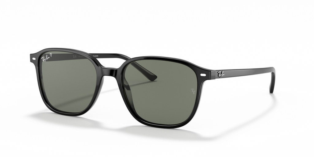 Ray-Ban LEONARD RB2193 - Black / Black