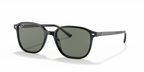 Ray-Ban LEONARD RB2193 - Black / Black