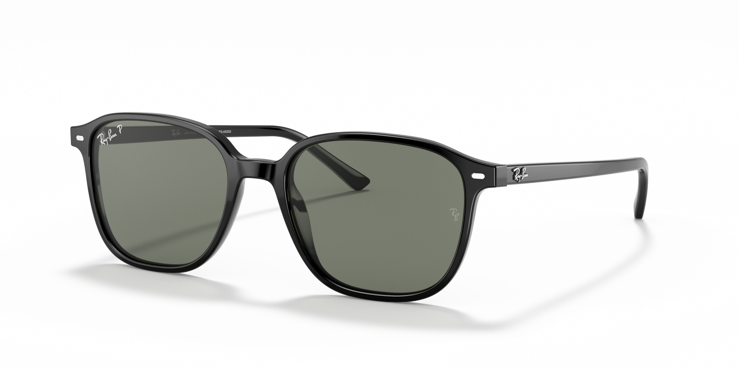 Ray-Ban LEONARD RB2193 - Black / Black