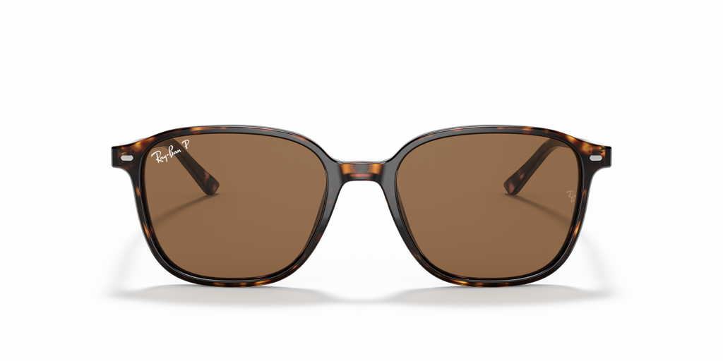 Ray-Ban LEONARD RB2193 - Tortoise / Tortoise