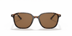 Ray-Ban LEONARD RB2193 - Tortoise / Tortoise