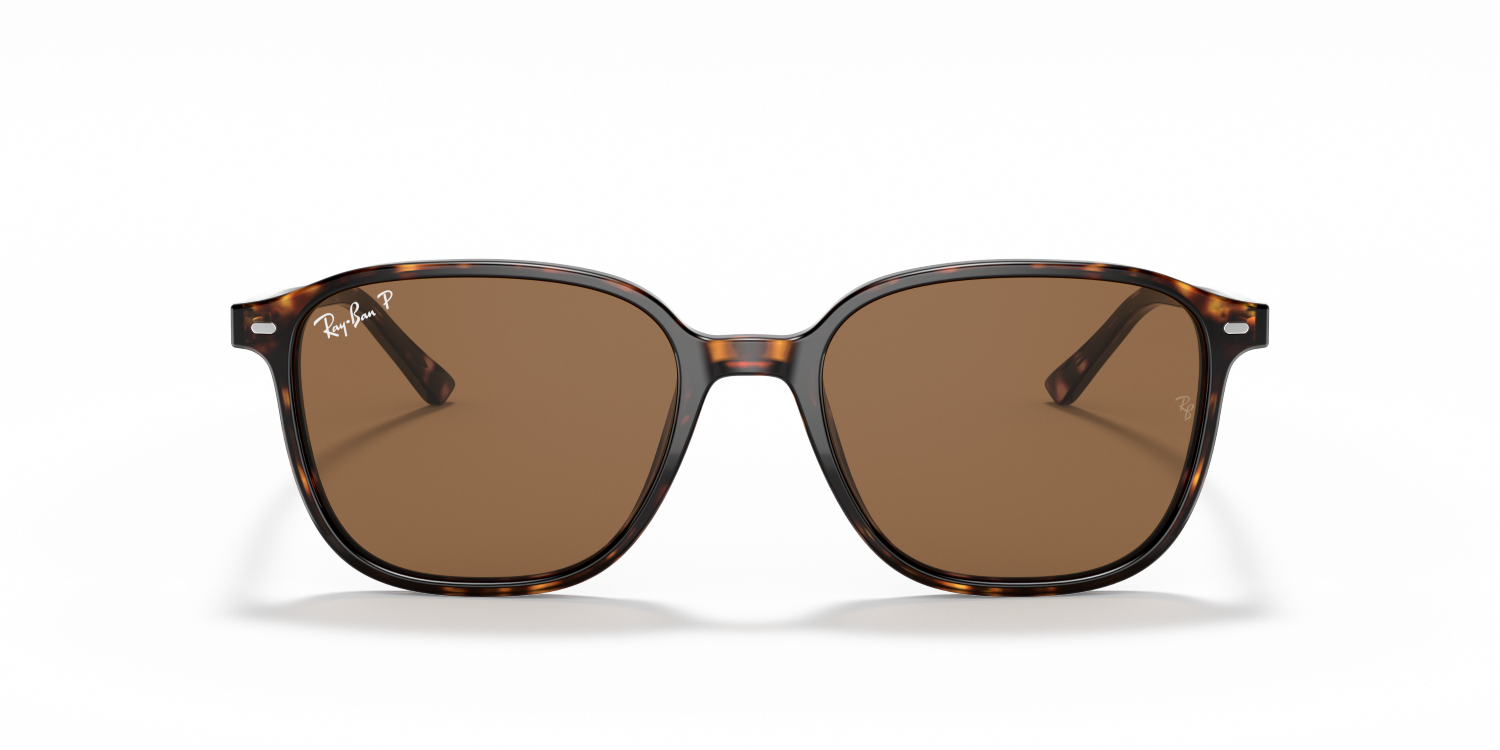 Ray-Ban LEONARD RB2193 - Tortoise / Tortoise
