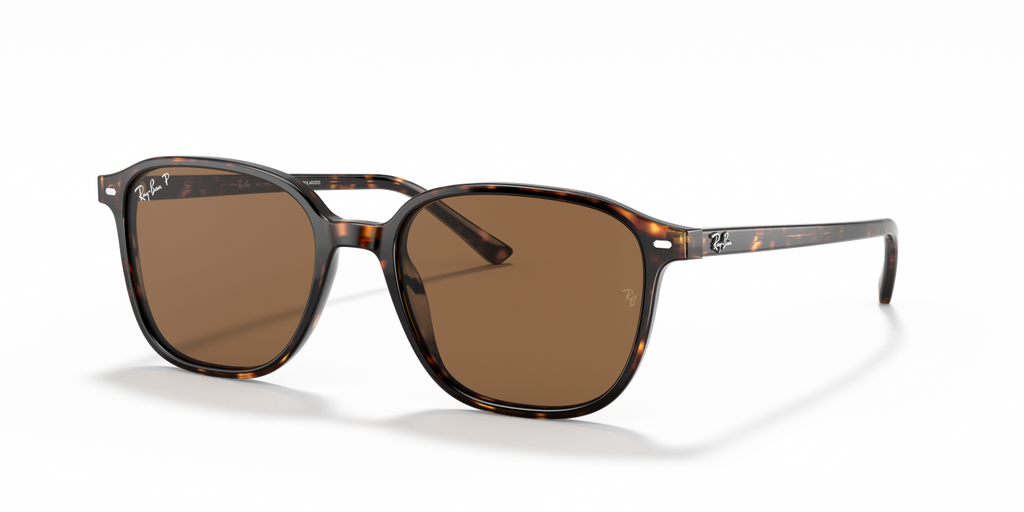 Ray-Ban LEONARD RB2193 - Tortoise / Tortoise