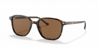 Ray-Ban LEONARD RB2193 - Tortoise / Tortoise
