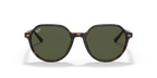 Ray-Ban THALIA RB2195 - Havana / Tortoise