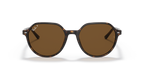 Ray-Ban THALIA RB2195 - Havana / Tortoise