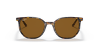 Ray-Ban ELLIOT RB2197 - Havana Brown Grey / Brown