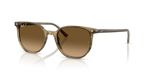 Ray-Ban ELLIOT RB2197 - Striped Green / Green