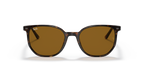 Ray-Ban ELLIOT RB2197 - Havana / Tortoise
