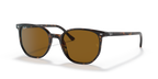 Ray-Ban ELLIOT RB2197 - Havana / Tortoise