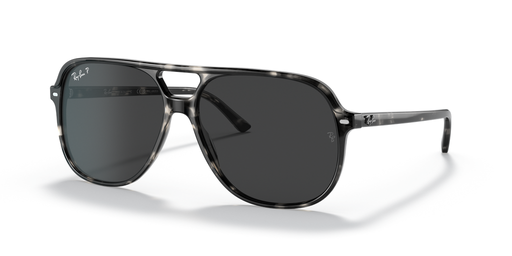 Ray-Ban BILL RB2198 - Grey Havana / Tortoise