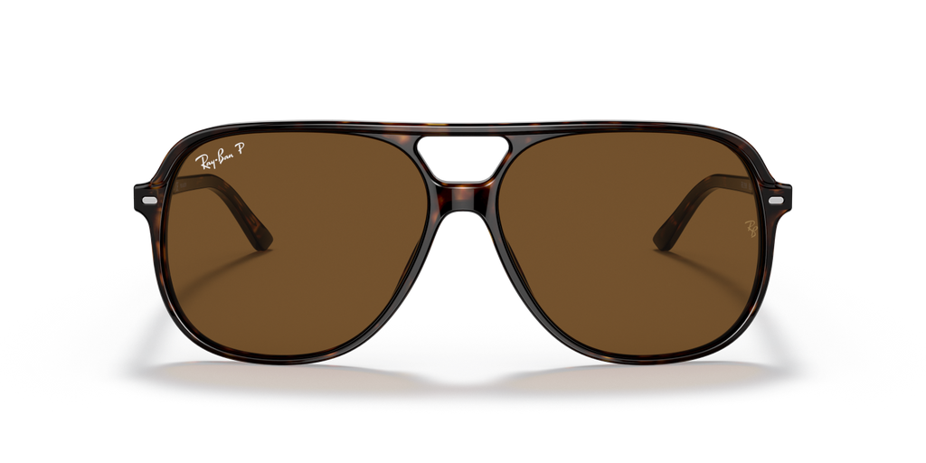 Ray-Ban BILL RB2198 - Havana / Tortoise