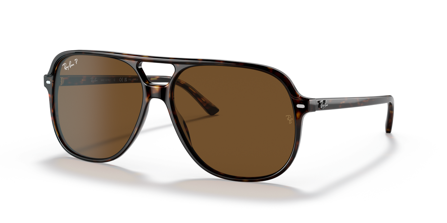 Ray-Ban BILL RB2198 - Havana / Tortoise