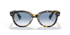 Ray-Ban ORION RB2199 - Yellow Havana / Tortoise