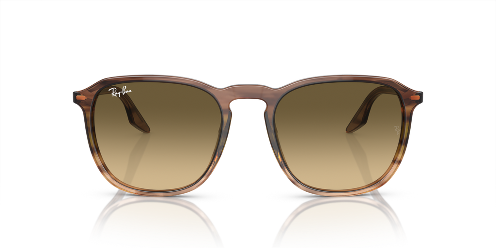 Ray-Ban RB2203 - Striped Brown & Green / Brown