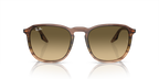 Ray-Ban RB2203 - Striped Brown & Green / Brown