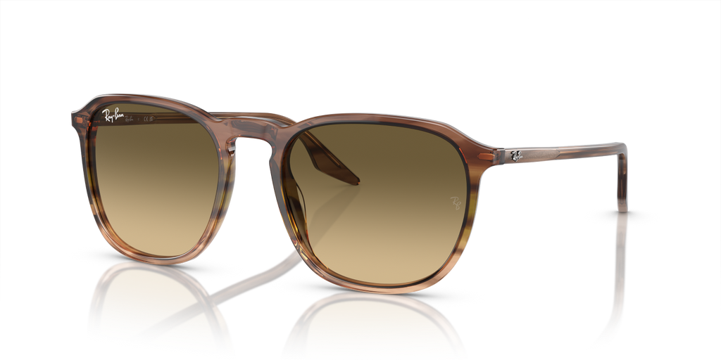 Ray-Ban RB2203 - Striped Brown & Green / Brown
