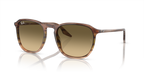 Ray-Ban RB2203 - Striped Brown & Green / Brown
