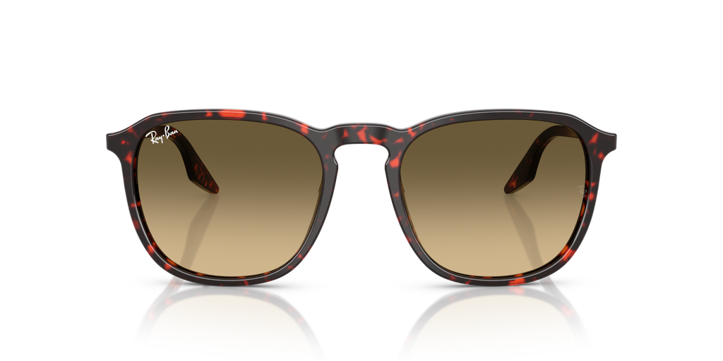 Ray-Ban RB2203 - Havana Red Tortoiseshell / Red