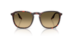 Ray-Ban RB2203 - Havana Red Tortoiseshell / Red