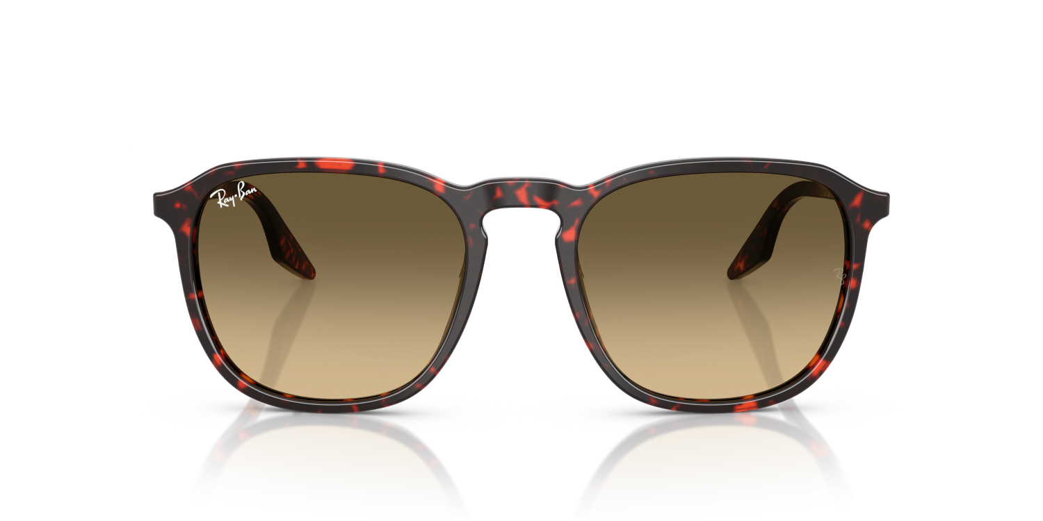 Ray-Ban RB2203 - Havana Red Tortoiseshell / Red