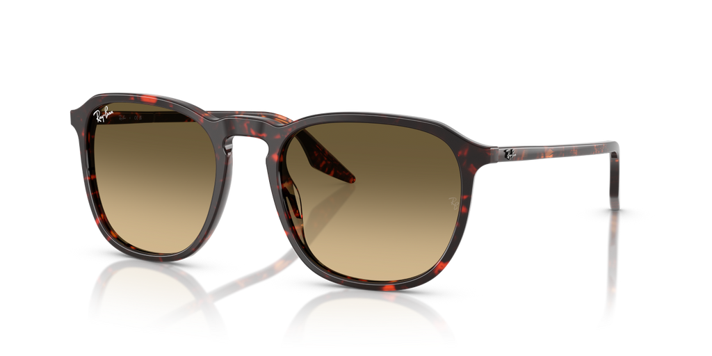 Ray-Ban RB2203 - Havana Red Tortoiseshell / Red