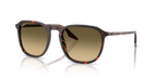 Ray-Ban RB2203 - Havana Red Tortoiseshell / Red
