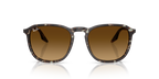 Ray-Ban RB2203 - Havana Yellow Tortoiseshell / Yellow