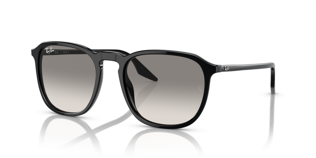 Ray-Ban RB2203 - Black / Black