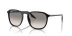 Ray-Ban RB2203 - Black / Black