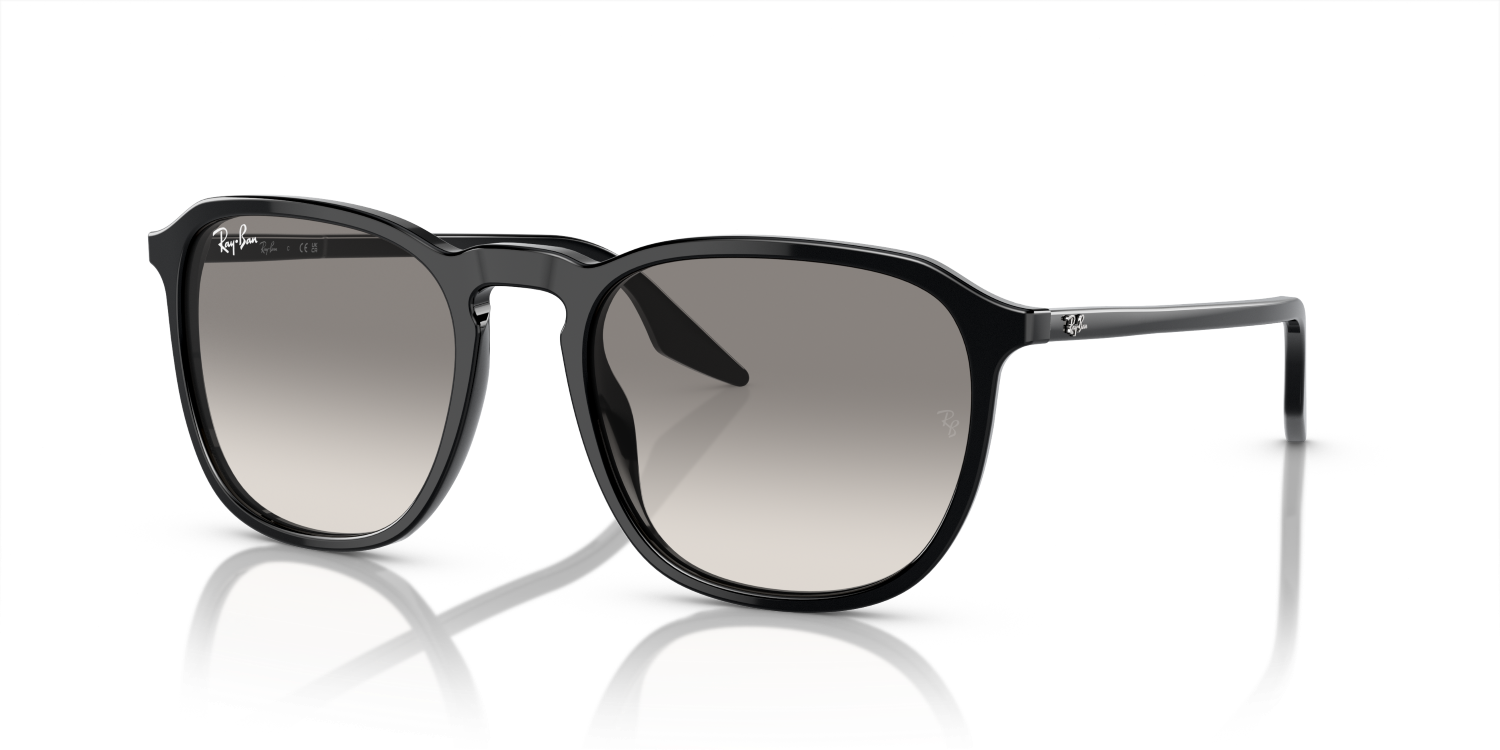 Ray-Ban RB2203 - Black / Black