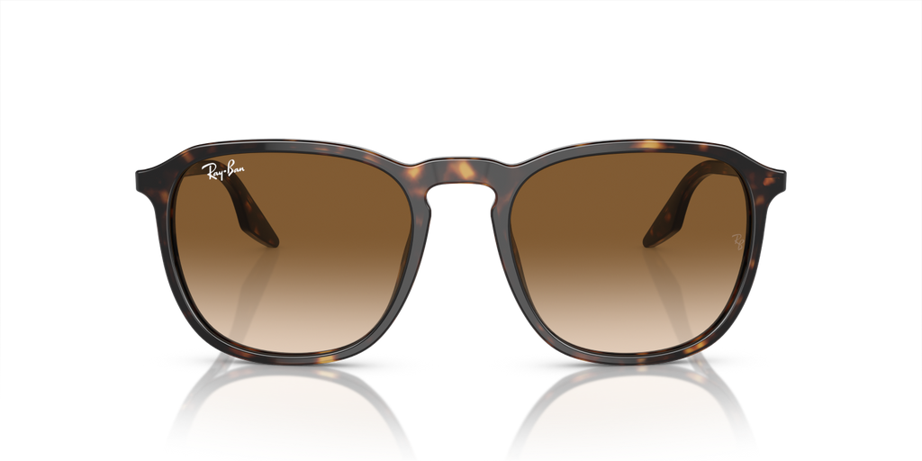Ray-Ban RB2203 - Havana / Tortoise
