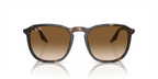 Ray-Ban RB2203 - Havana / Tortoise